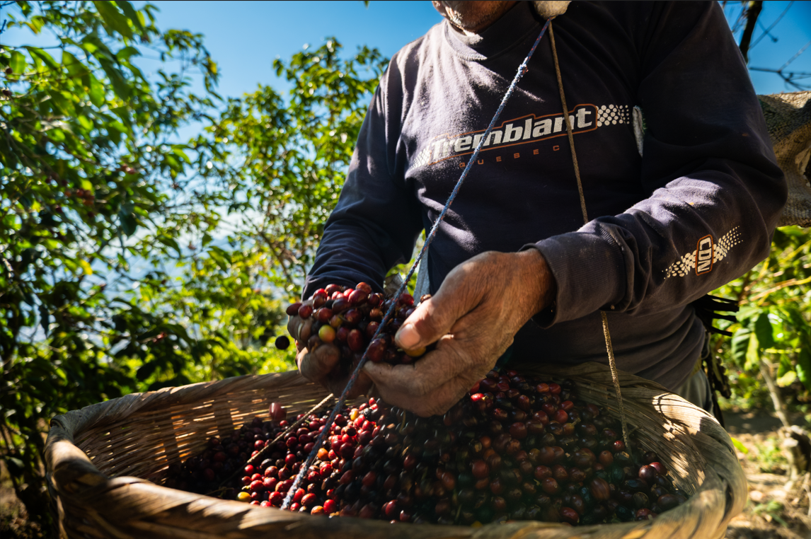 Gastronomía / finca